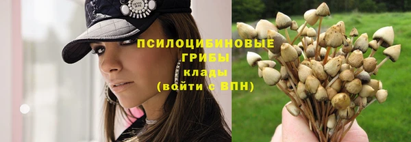 мяу мяу мука Ивантеевка