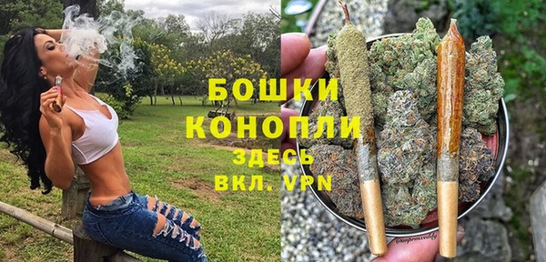 не бодяженный Ивангород