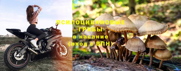 марихуана Зуевка