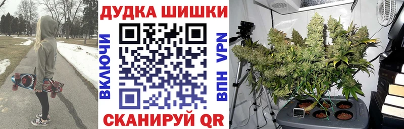 Бошки Шишки план  Карабаново 